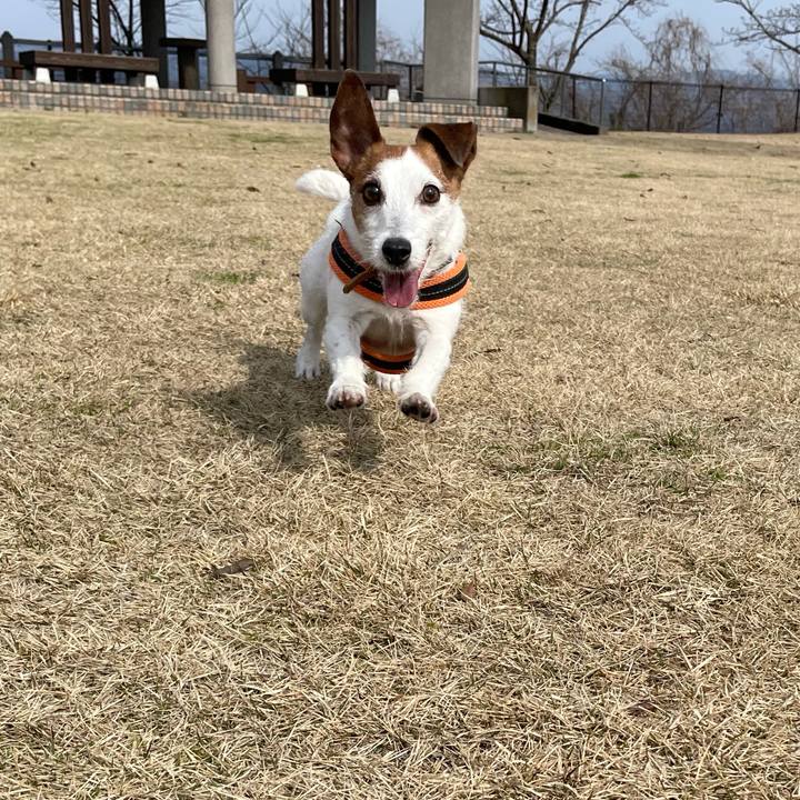 621f8f50 8b4e 406e 8f3b 928f81fddf14 1774139240159