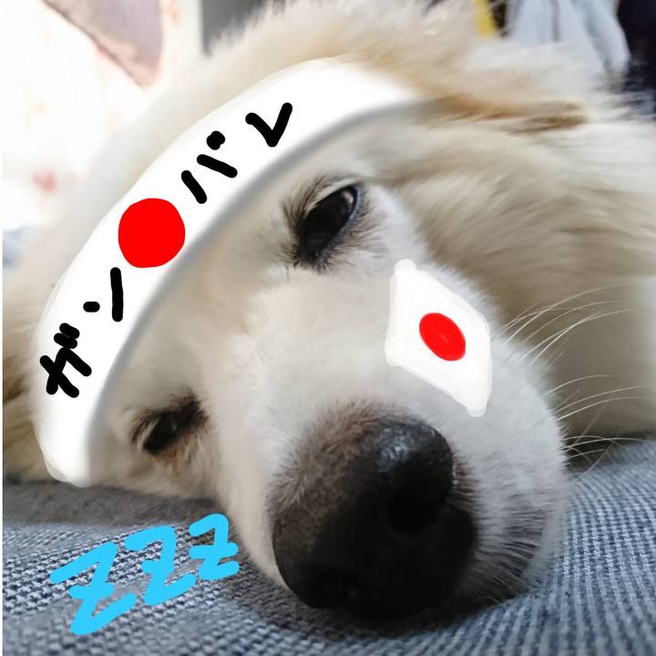 621fb56a c5d1 4fd3 a6cd 44506f36f3a2 1536405858947