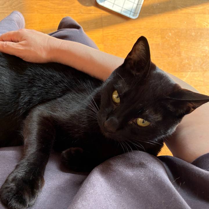 621fcef9 5716 4e85 87d8 f6d703632c7c 1748555374672