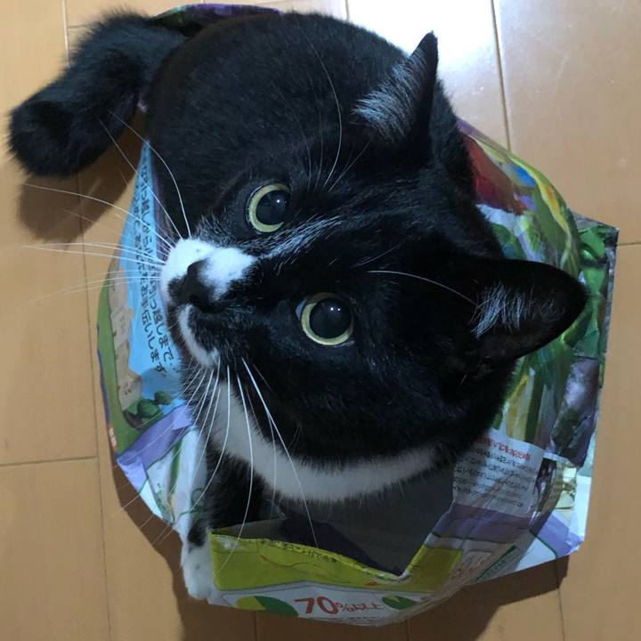 621fd42f 42b8 45f5 9dcd fbeeee34249b 1618199220102