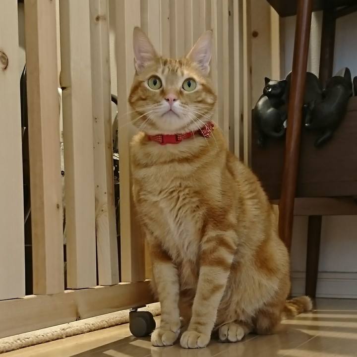 621fe9b5 9869 4c99 8549 4863d57dfc90 1520774896465