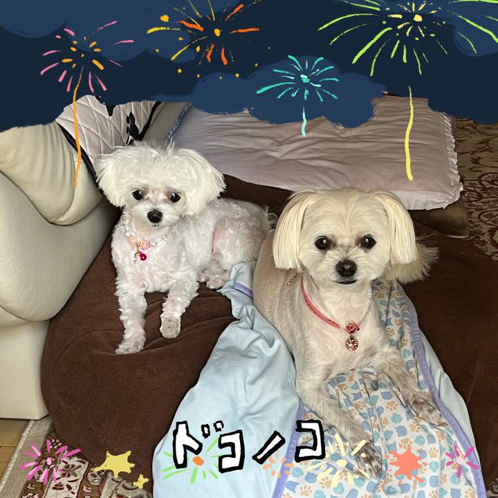 62202a2a ab18 4285 89be 21c3614cbcf7 1723353062497