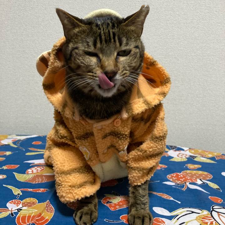 62203f0f 58c7 4ba7 8e7d 6e4d41df82c3 1638086293651