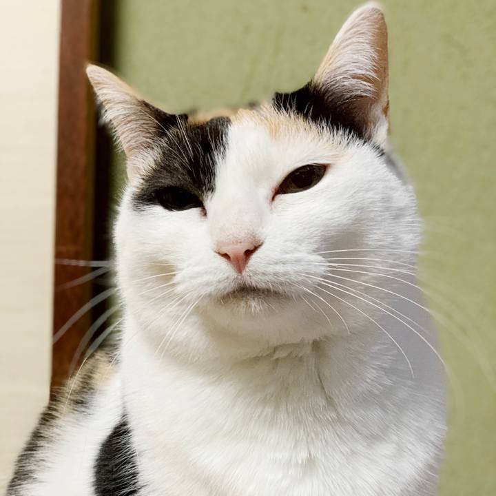 62204892 3549 4599 87ae bd00096f0fe3 1551144470456