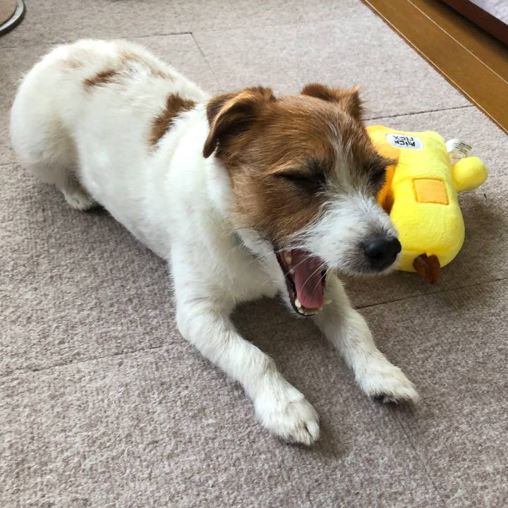 62205260 e10a 41a7 a03c 27651cb273e1 1571723944901