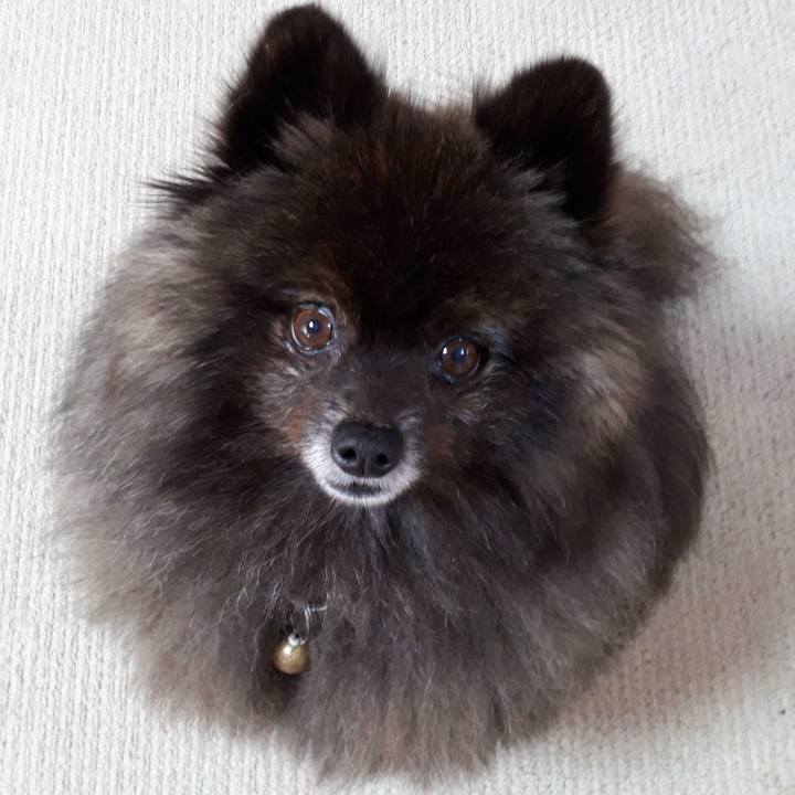 6220681f 2873 4ee7 a9cc f92db8c3a199 1520321483216