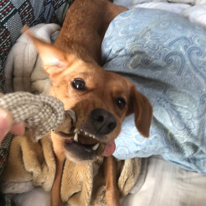 62206862 038d 4ec8 9fb7 5cd3720c5a8d 1513580039176