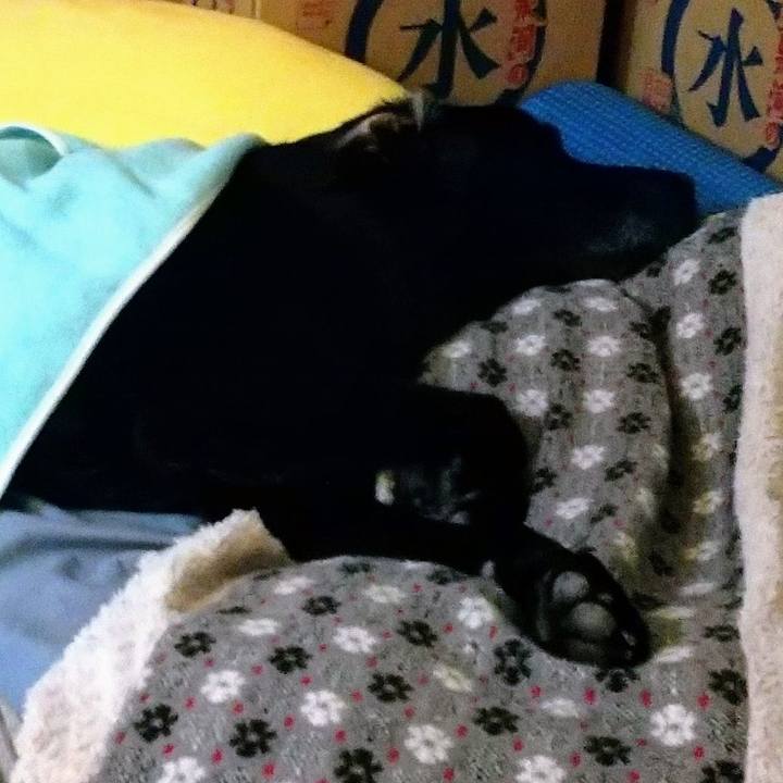 62208fdd d694 4e53 8982 802004e16230 1697330390614