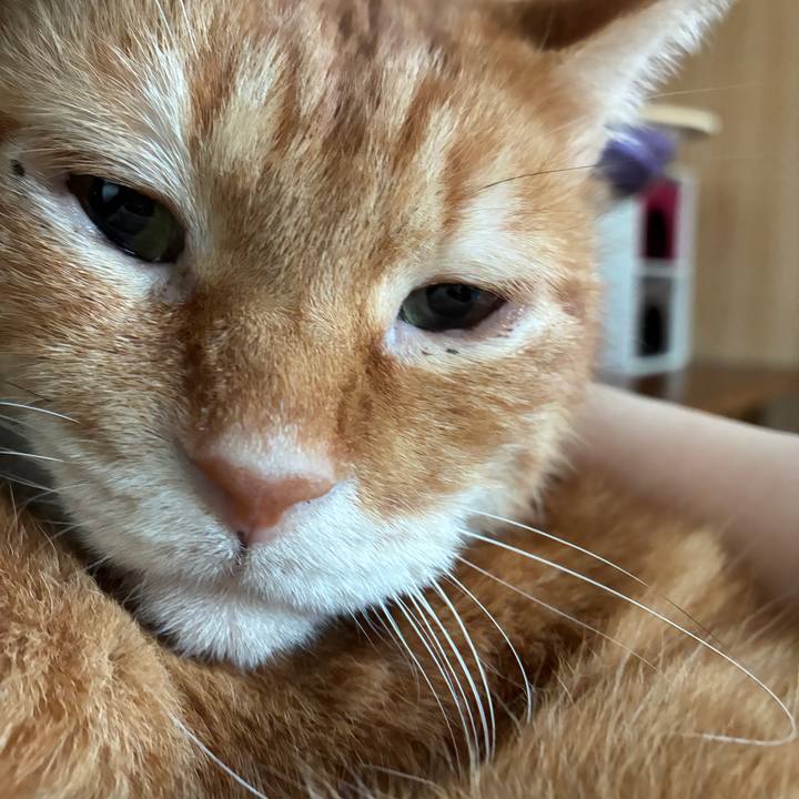 6220b1f4 317a 4e0e 8ac6 478f74cc519b 1771125627257