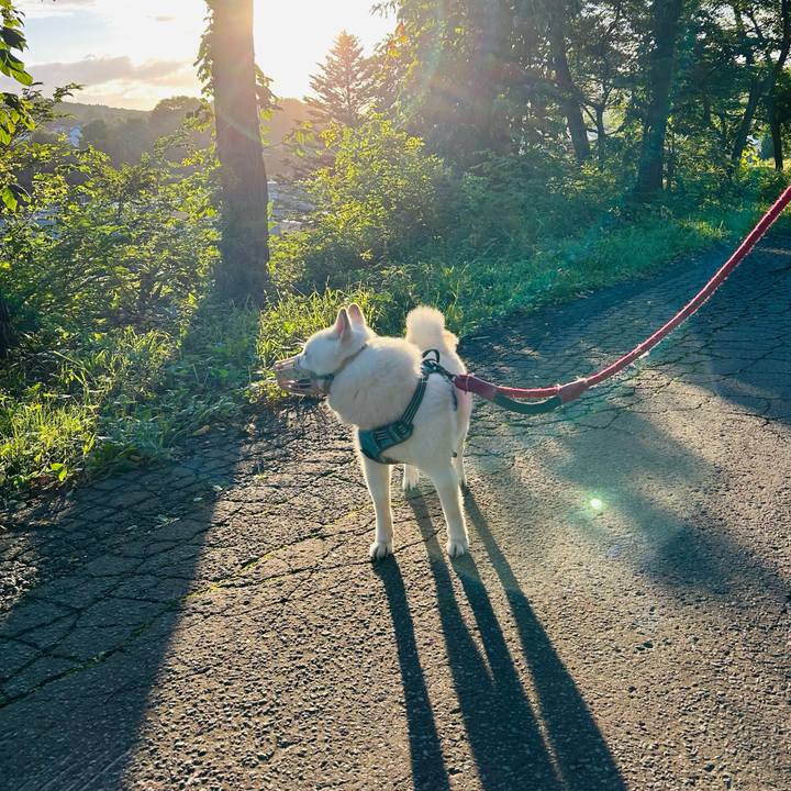 6220bdf9 59cf 4615 b0ab 5d399977c41e 1756328378941