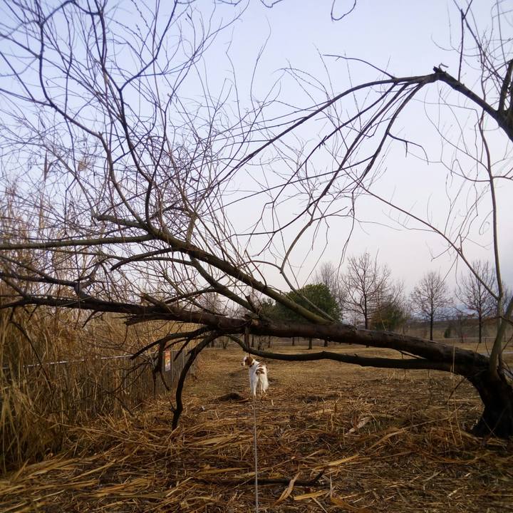 6220f5d7 acab 43d8 bbc4 7bf33015e6af 1518309858939