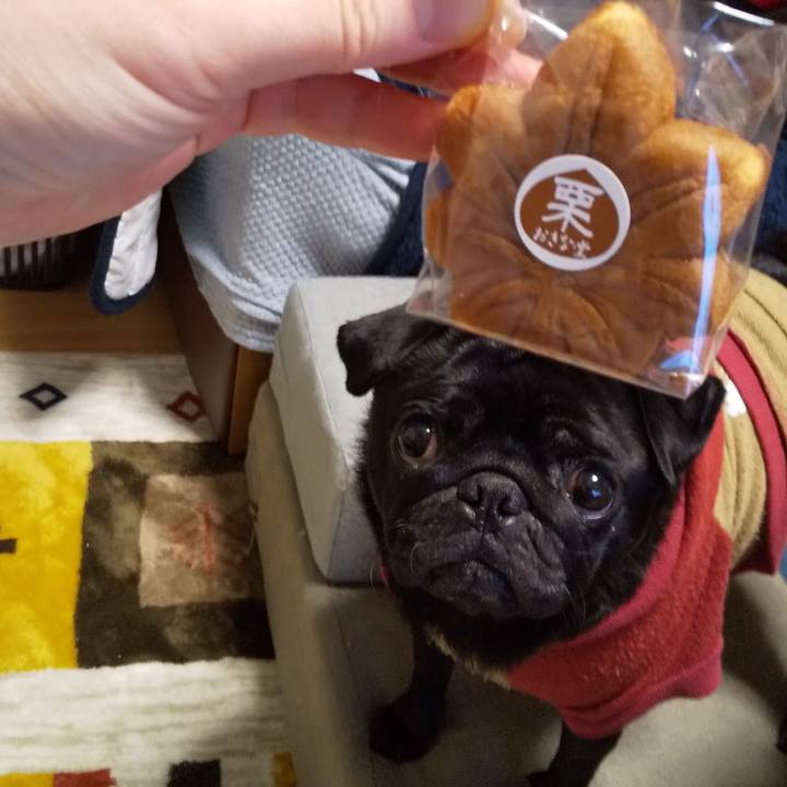 62210c8e 3bad 4a68 8181 86c4f26662b5 1604385399418