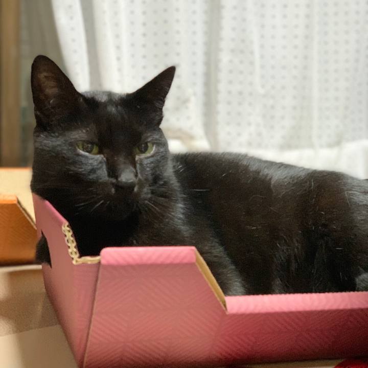 62218b40 6d0f 49b5 a6e9 f7f603f47c94 1602810895637