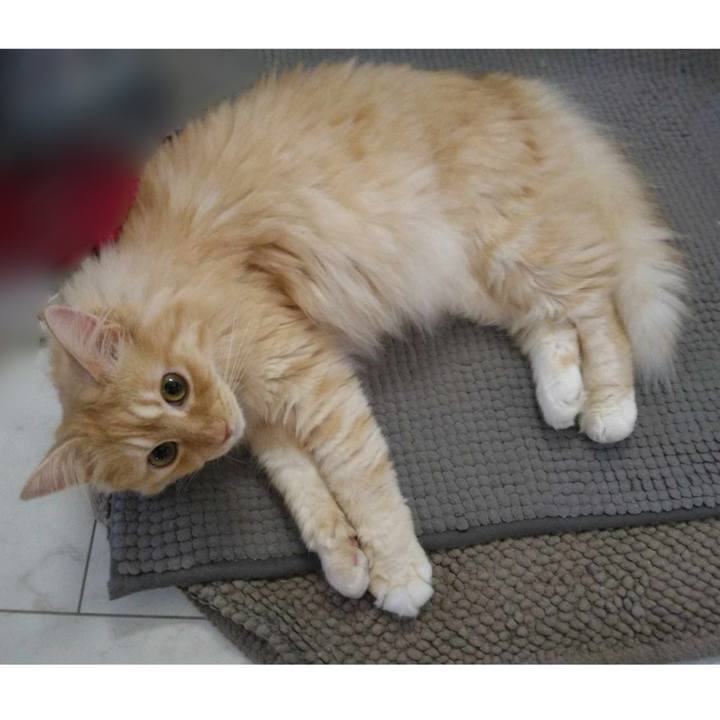 6221a9ad 432c 4c2c 9a84 f553e919bb74 1690795231848