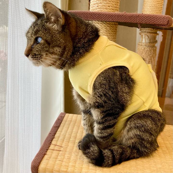 6221e93c 3460 4aaf 8069 f074b7787c5b 1684628030741