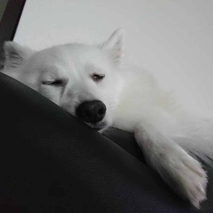 62225788 8dae 4208 a7b7 9ba2ba2387e9 1570507712557