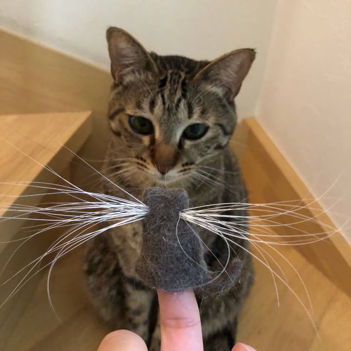 6222727e 9b6c 4e2b bc4b 360ef49300cc 1523679893117