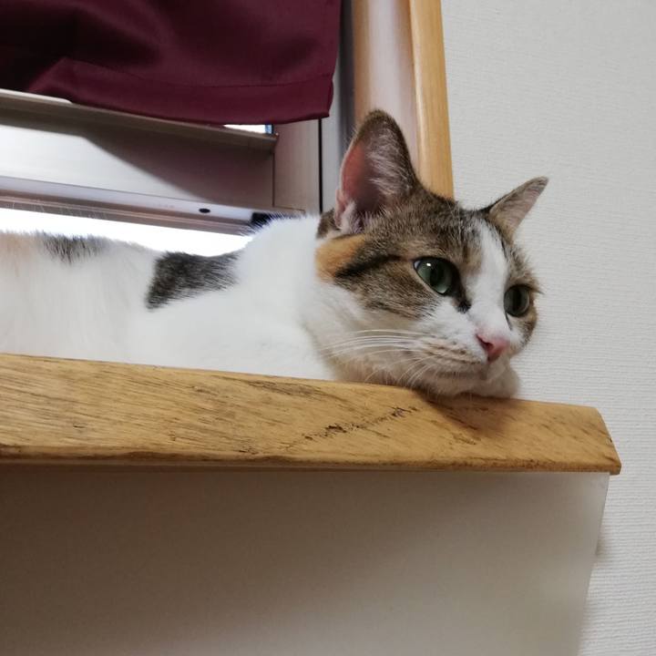 62227358 8125 4700 9c42 4c4f3c7a0abe 1600382490063