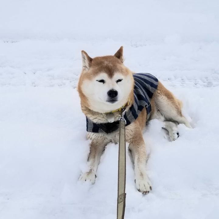 6222771a 252a 4650 b1a1 165d2e798958 1675139687082