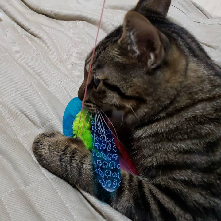 62227dcd 332a 4475 a926 925a17560f04 1543641860522