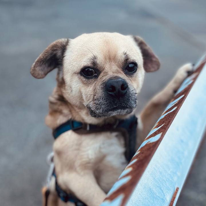 622298c1 b4a6 49c7 9dd0 0da4ab57619b 1772359927553