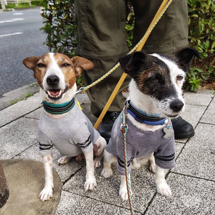 62229db4 d5a2 4a73 bad8 9195f68f229c 1721273917955