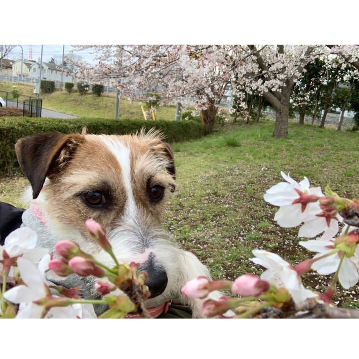 6222aa16 1bbe 49f6 9fab 934482cddfed 1585561226339