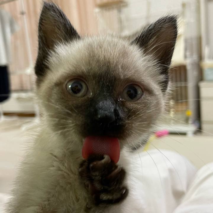 6222aba3 8f9d 49a6 9434 866bda5565a0 1687203876155