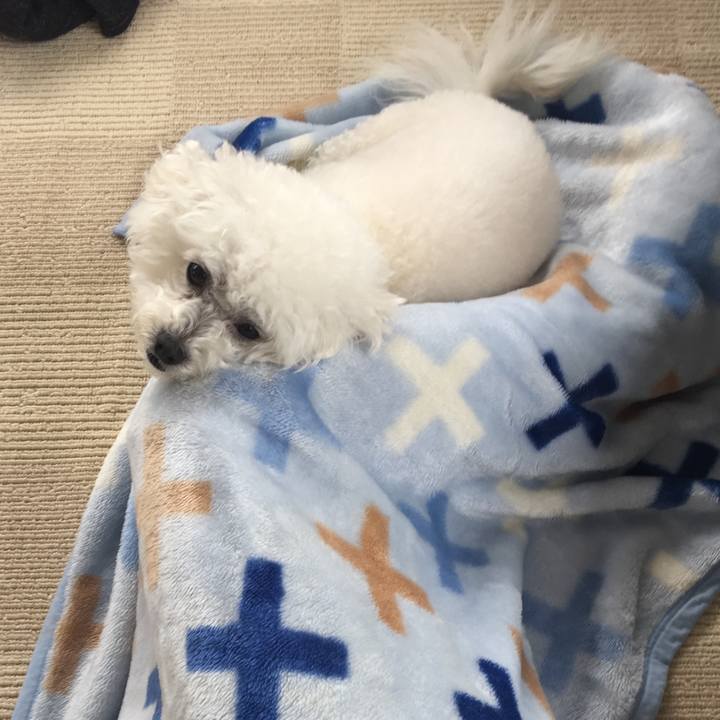 6222d787 d5e2 4675 a739 bc24a80b2297 1548558482293