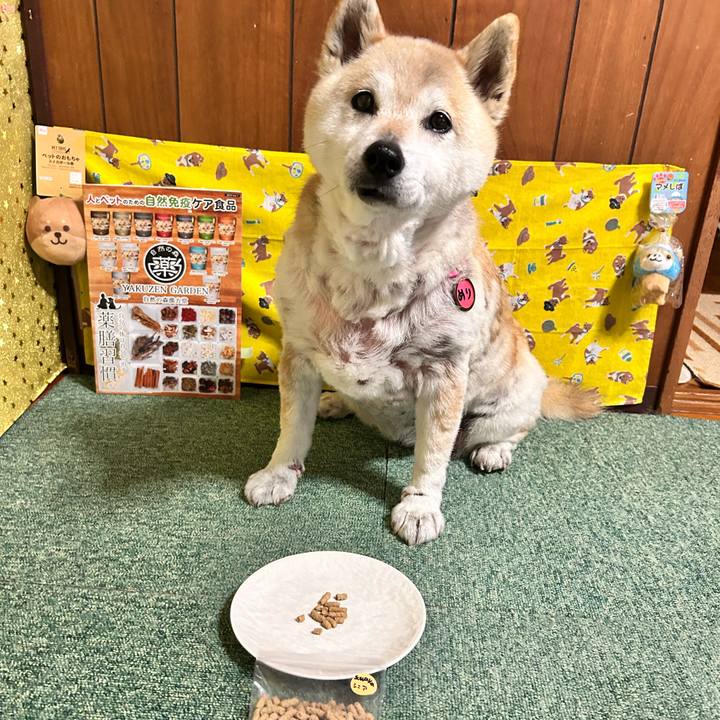 6222eaa0 d2c4 41c0 80eb 4c585881d52c 1746874312632