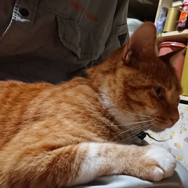 62231657 63f7 4b0f 8bfc fb43a3b205c2 1600073540535