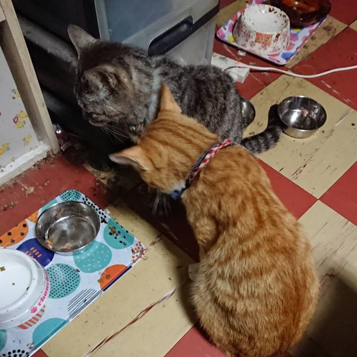 622330e6 42ed 4e45 a6f6 09da47562977 1561492530503