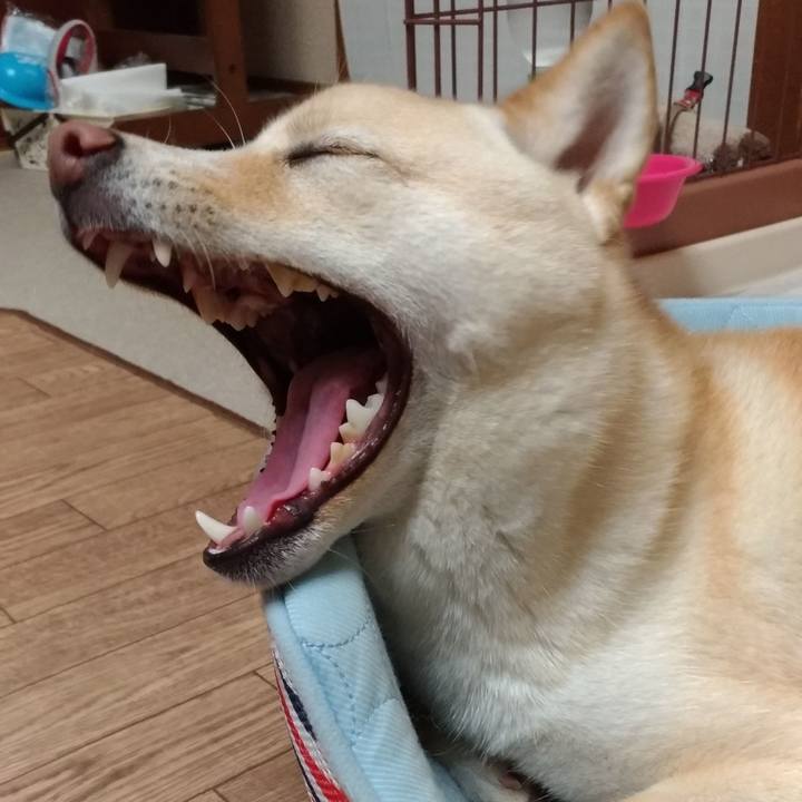 622382d4 9ae0 40ea b7ab 7c8c89913836 1530182367494