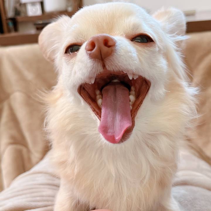 6223d022 cc75 4941 9985 2051f64b01b1 1679348363479