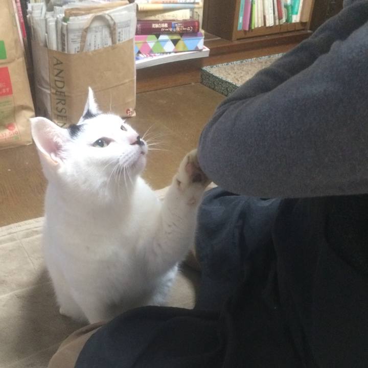 6223d034 e163 4f21 bda9 0e39c9ef1669 1545653758043