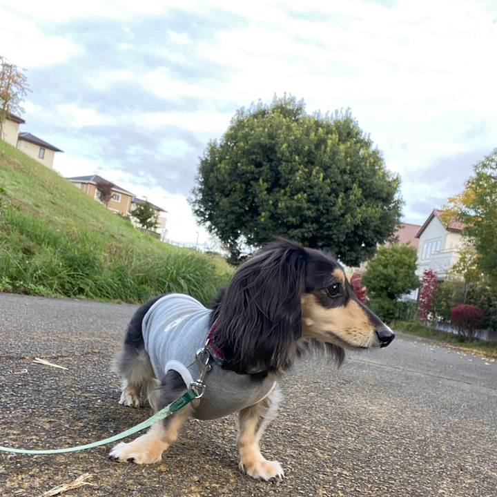 6223e583 4076 472d 902d 7a2393c98cff 1762826461606