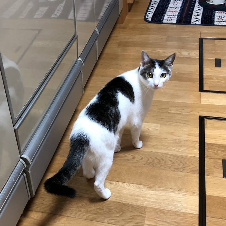 6223e5d1 7b4b 4f8c be7d 7f56dbd5d795 1604236661208