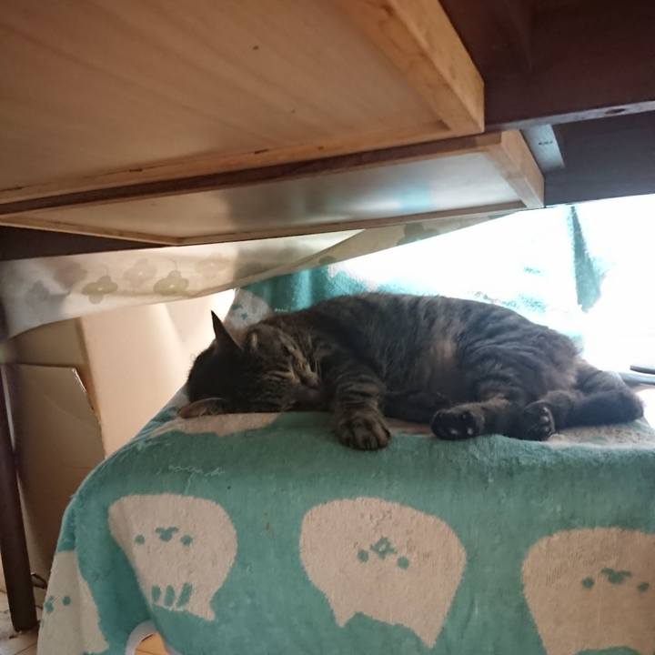 6223f77c dbdc 4c48 a129 4d53bcf7934a 1654900857749