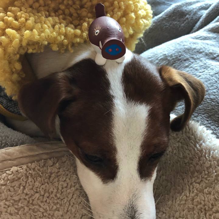 62241f53 95b1 4e39 9063 d4977254e57e 1546307732708