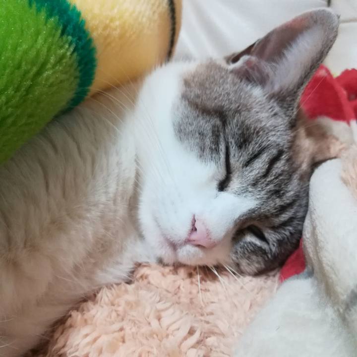 622421f6 d9f0 4da0 a7a4 a15517284b26 1578926880395