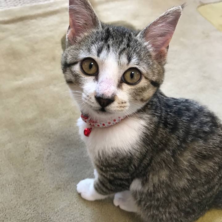 62244bdf 299d 47f5 9c57 1716d77459e7 1514436962843