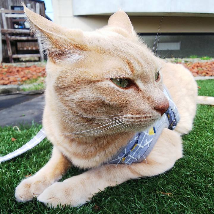 6224537d e34a 418f 9ef0 88603b1a55b2 1680932862175