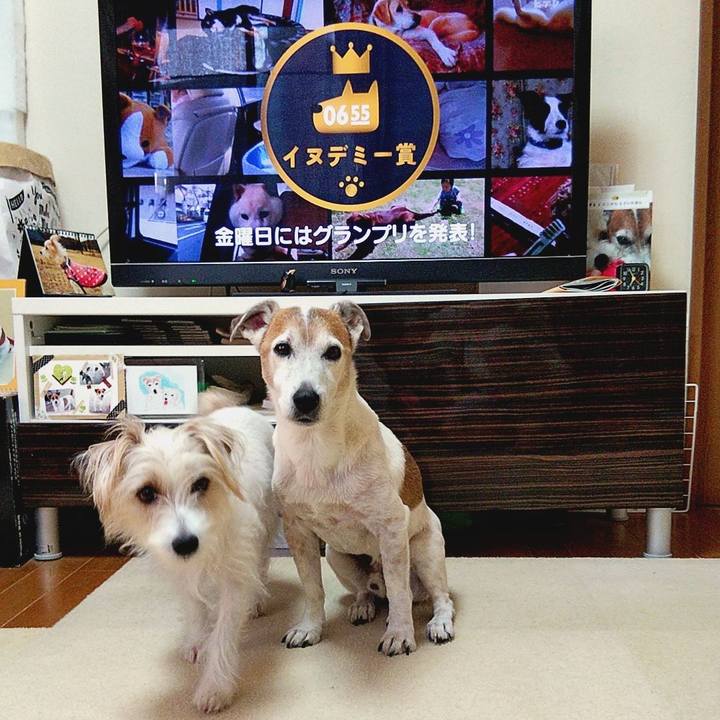 6224891c a0e6 4358 b66e 72f58ba41f9f 1583878674661