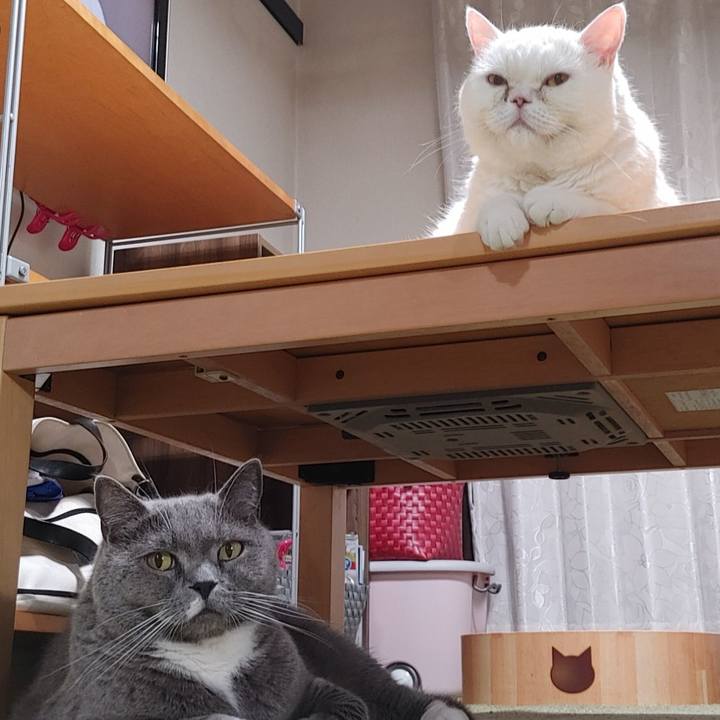 6224abb4 9ce4 428b 8e2a a9a7ab693114 1720345675055