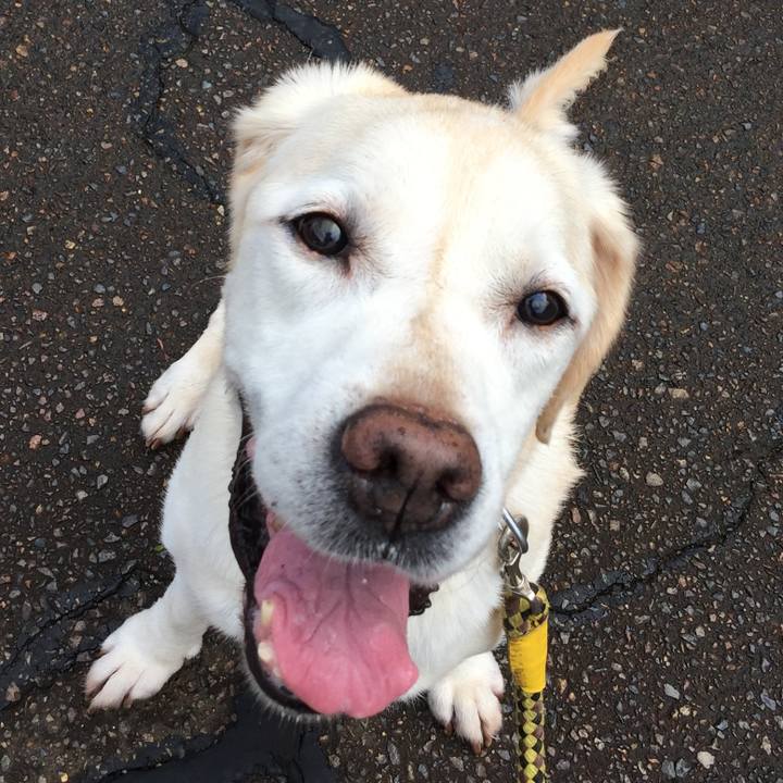 6224be4d d8e0 4f9e a800 29946f509bf6 1536113632392