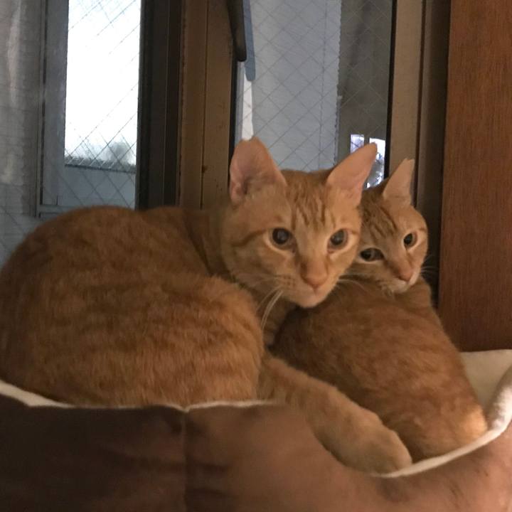 6224c7ce d1e7 49bd a1d9 41649007f1b1 1586355719119