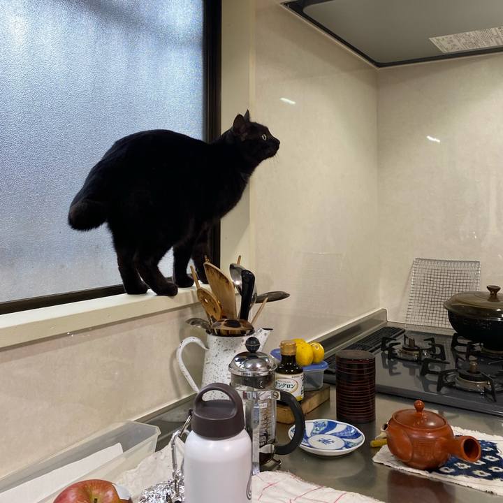 6224c9b0 2844 42bf 8566 5ad48f152e6d 1613313133399