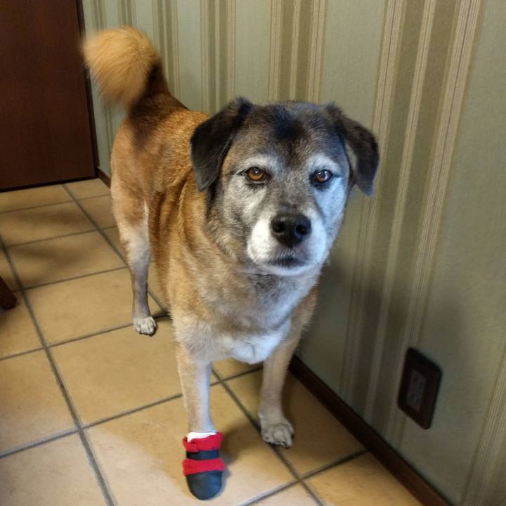 6224f021 022d 42ae bdb5 05f33fe0ee2e 1527724334820