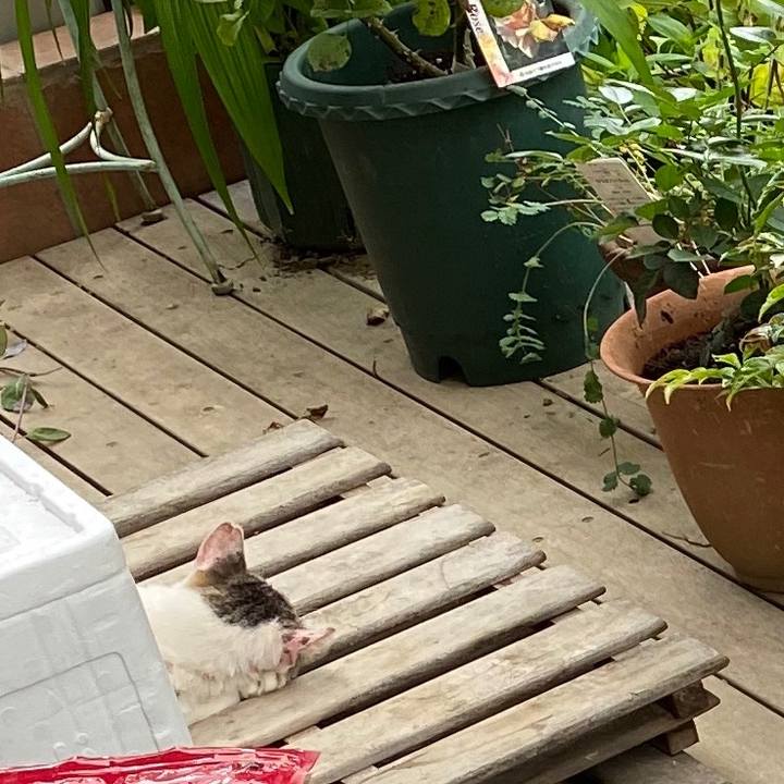 6224f40e 8470 42fb b0b9 d5b9888797ec 1596007896630