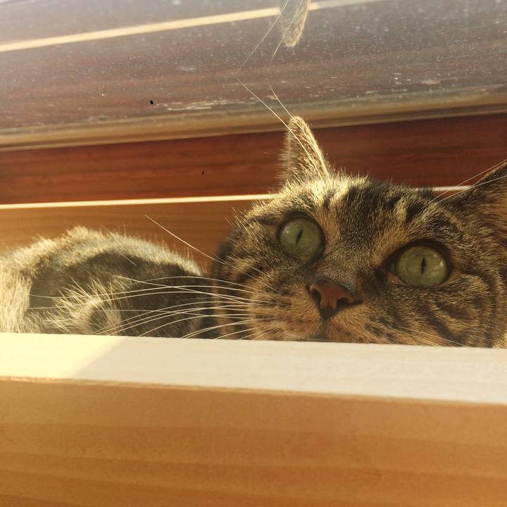 6225307d 4345 4906 b281 e8379259aaee 1509491268310